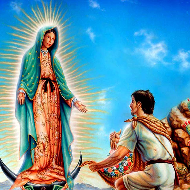 Lady of the virgin of guadalupe